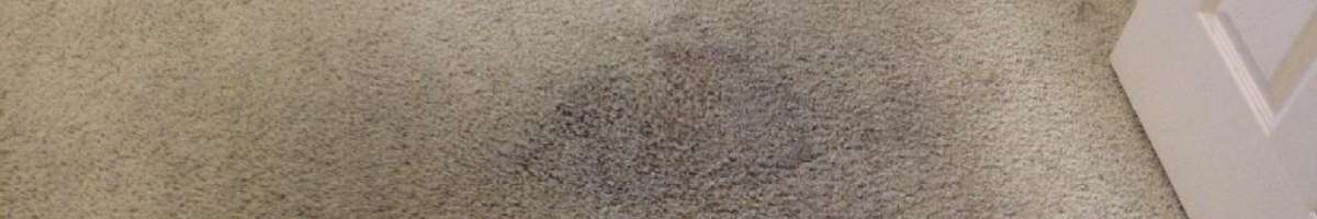 Carpet Cleaning Pooraka Banner