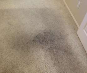 Carpet Cleaning Pooraka