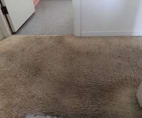 Carpet Cleaning Pooraka