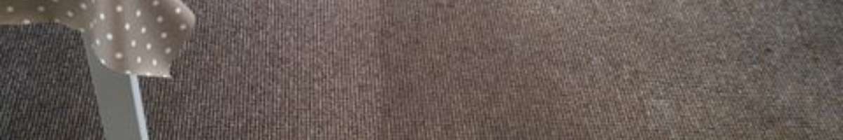 Carpet Cleaning Redfern Banner