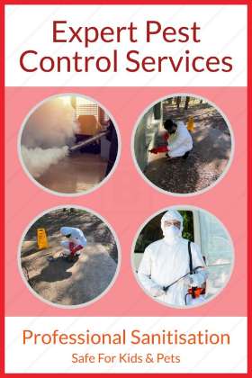 Prudent Pest Control