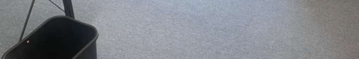 Carpet Cleaning Forest Lake Banner