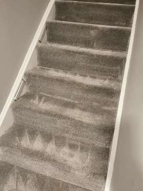 Carpet Cleaning Forest Lake