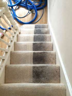 Carpet Cleaning Wellington Point