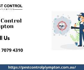 Pest Control Plympton