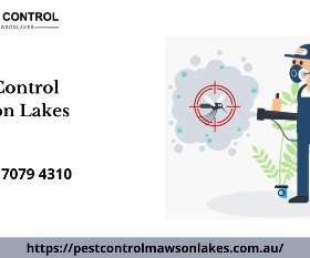 Pest Control Mawson Lakes
