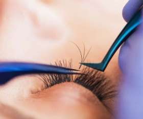 The Beauty & Brow Parlour