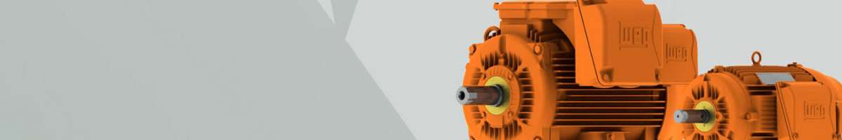 Electic Motors Online Banner