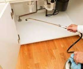 Pest Control West End