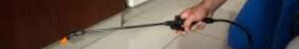 Pest Control Thornlands Banner