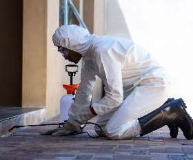 Pest Control Yeronga