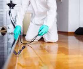 Pest Control The Gap