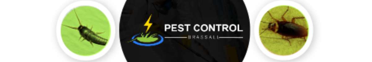Pest Control Brassall Banner