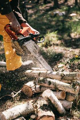 Blacktown Tree Services