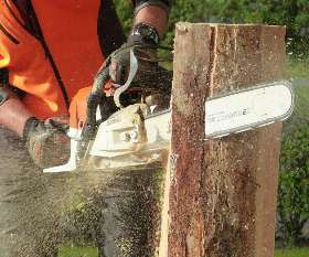 Blacktown Tree Services