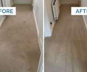 Carpet Cleaning Rosebery