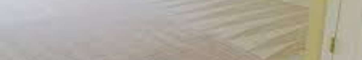 Carpet Cleaning Botany Banner