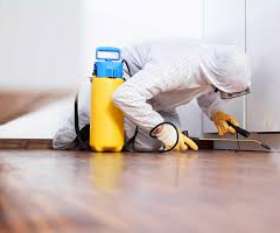 Pest Control Ashgrove