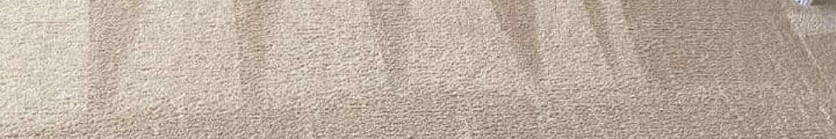 Carpet Cleaning Ormeau Banner