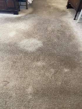 Carpet Cleaning Conder