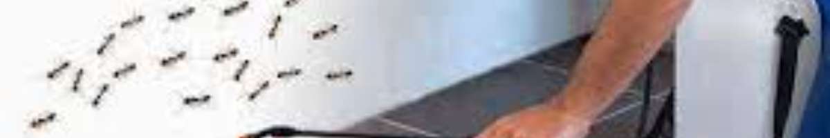 Pest Control Bexley Banner