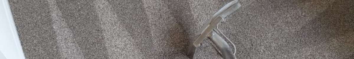 Carpet Cleaning Kogarah Banner