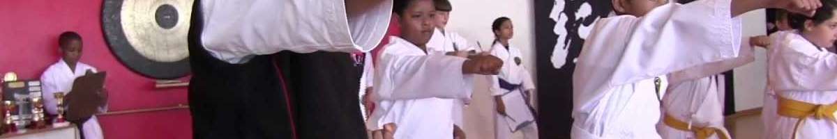 Samurai Karate Banner