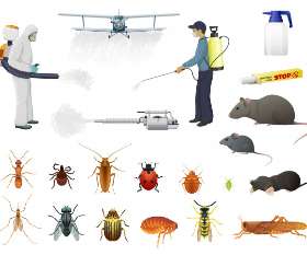 Professional Pest Control Brisbane