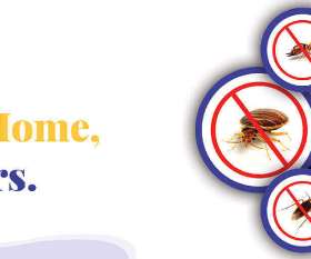 Local Pest Control Sydney