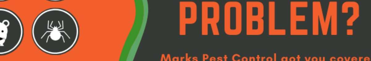 Local Pest Control Canberra Banner