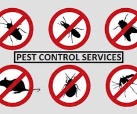 Local Pest Control Canberra