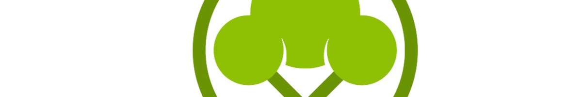 Pro Landscaping Wagga Banner