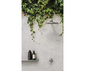 Phoenix shower arm in Macquarie Park | Ideal Bathroom Centre