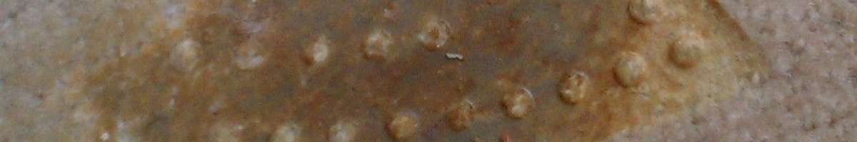 Carpet Repair Red Hill Banner