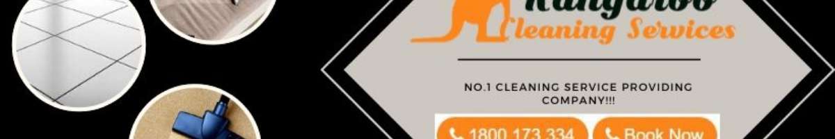 Professional Carpet Cleaning Brisbane Banner