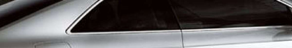 We Tint Windows Banner