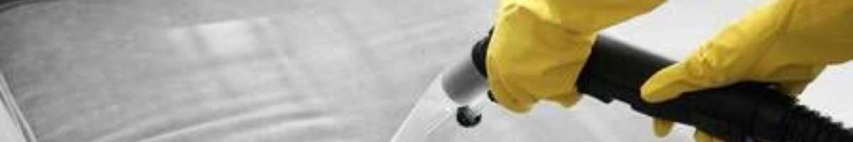Professional Upholstery Cleaning Brisbane Banner