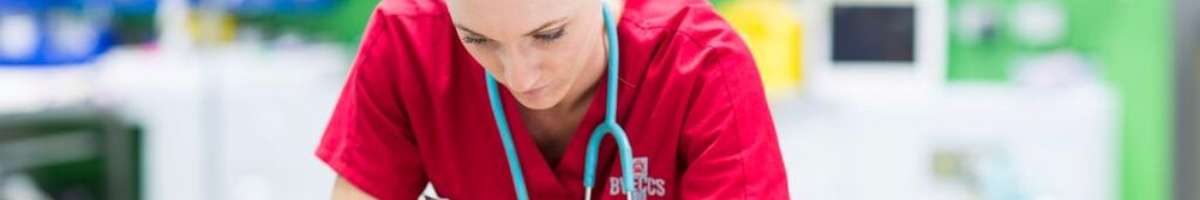Brisbane Veterinary Emergency & Critical Care Service (BVECCS) Banner