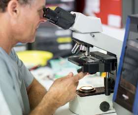 Brisbane Veterinary Emergency & Critical Care Service (BVECCS)