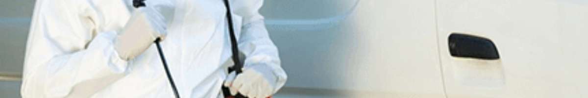 Instant Dead Animal Removal Banner