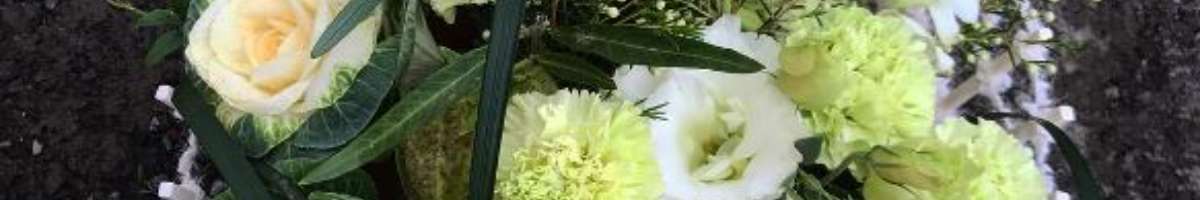 Mr Collins Florist Banner