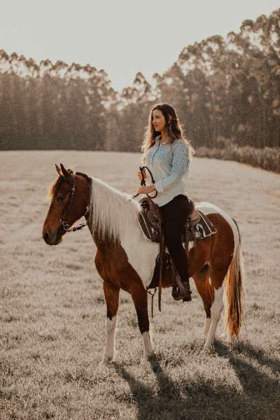 What You Need To Prepare For Your First Horse Riding Lesson