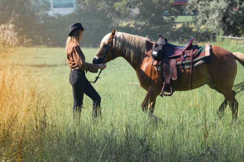 Understanding The Differences Between English And Western Horse Riding