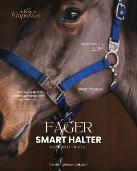 Australia's Online Emporium of Horse Bits – by Horse Bit Emporium