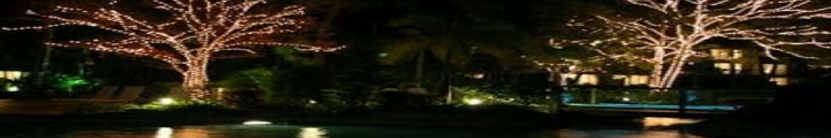 Starlight Lighting Banner