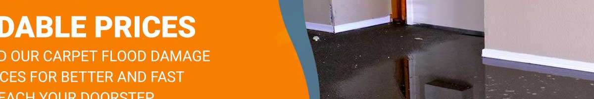 Best Flood Water Damage Restoration Sydney Banner