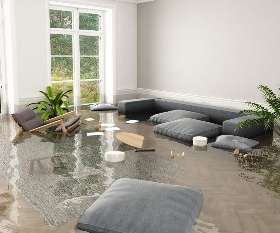 Best Flood Water Damage Restoration Sydney
