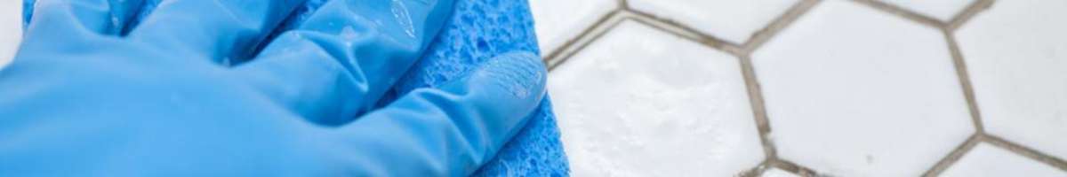 Professional Tile and Grout Cleaning Adelaide Banner