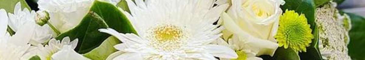 Vermont Florist Banner