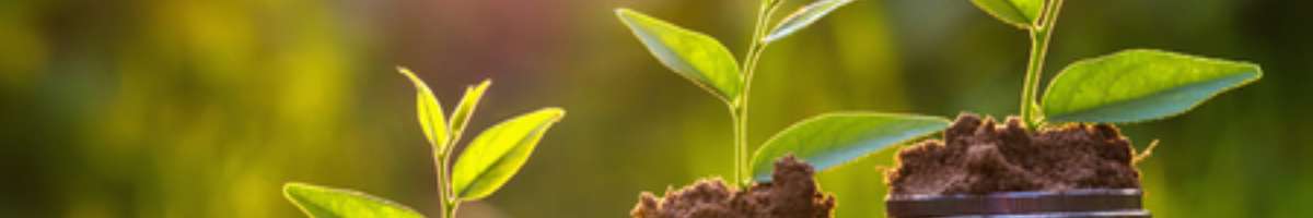 Abletax Business Solutions Banner